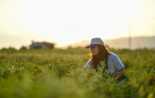 Kredyt odnawialny w rachunku bieżącym dla rolników