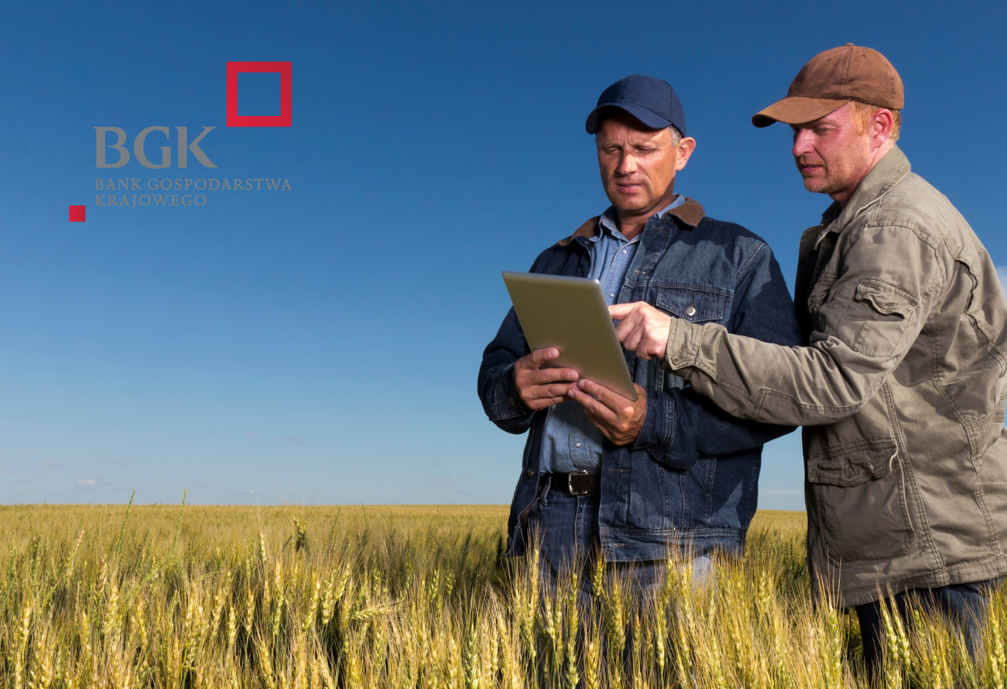 Kredyt z gwarancją FGR i dopłatą BGK